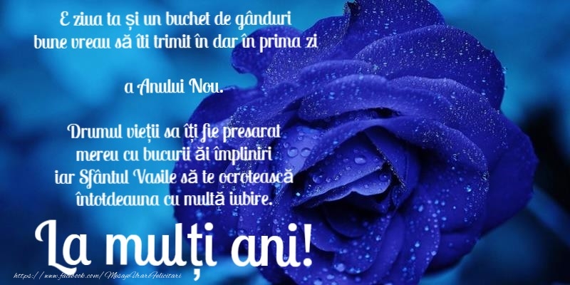 La multi ani de Sfantul Vasile!
