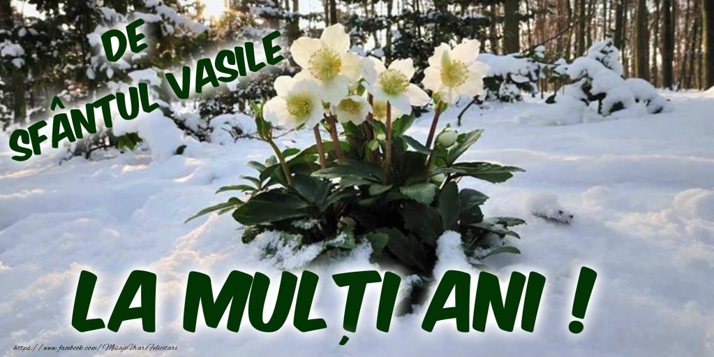 La multi ani de Sfantul Vasile!