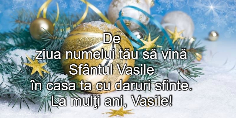 La multi ani de Sfantul Vasile!