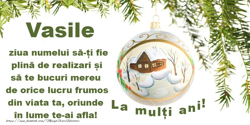 La multi ani de Sfantul Vasile!