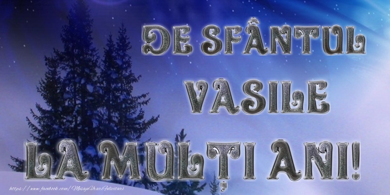 La multi ani de Sfantul Vasile!