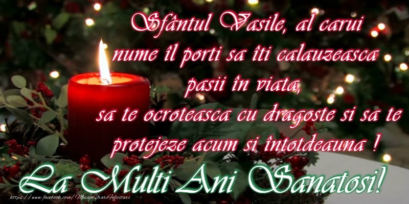 La multi ani de Sfantul Vasile!