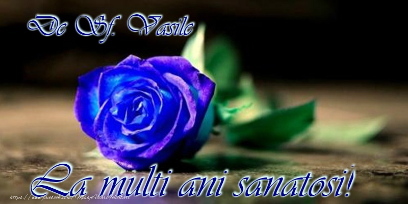 La multi ani de Sfantul Vasile!