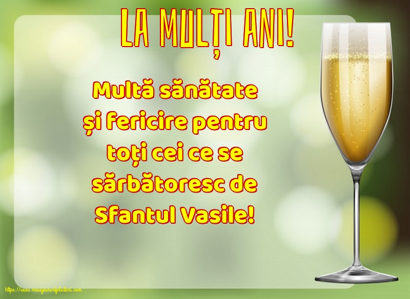 Sfantul Vasile La mulți ani!