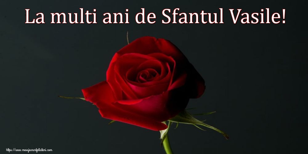 Sfantul Vasile La multi ani de Sfantul Vasile!