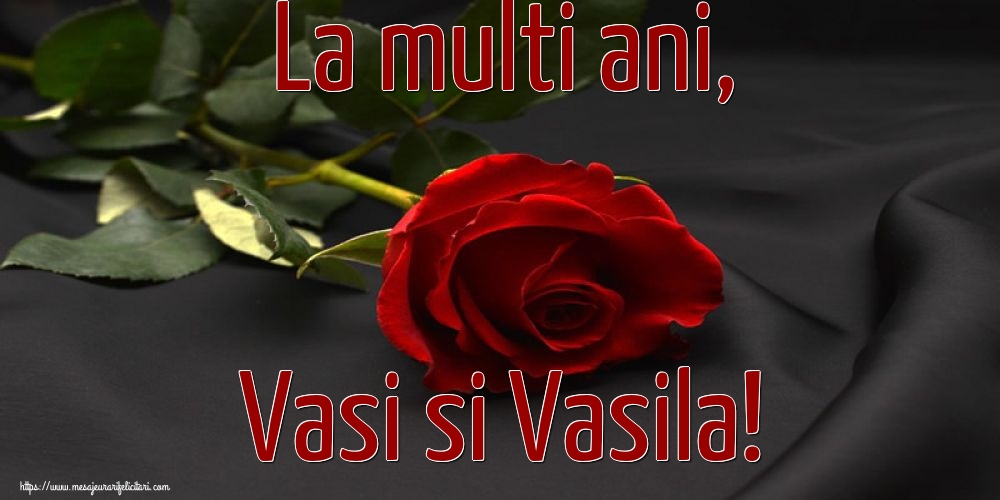 Sfantul Vasile La multi ani, Vasi si Vasila!