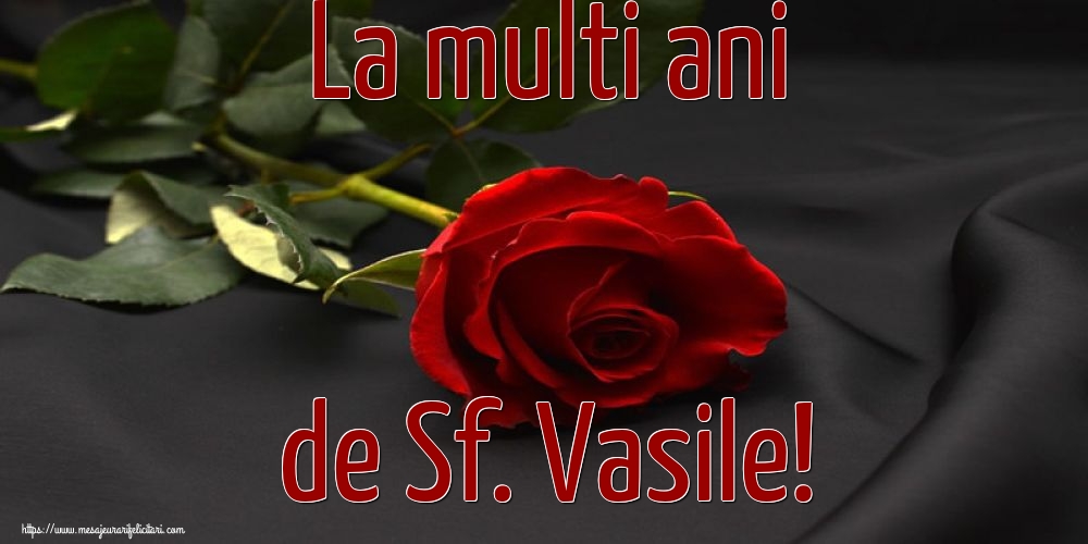 Sfantul Vasile La multi ani de Sf. Vasile!