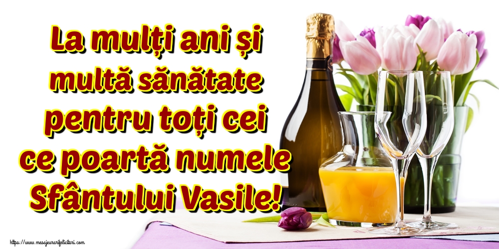 La mulți ani și multă sănătate pentru toți cei ce poartă numele Sfântului Vasile!