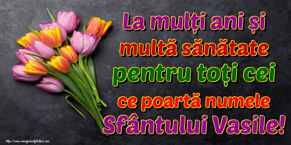 La mulți ani și multă sănătate pentru toți cei ce poartă numele Sfântului Vasile!