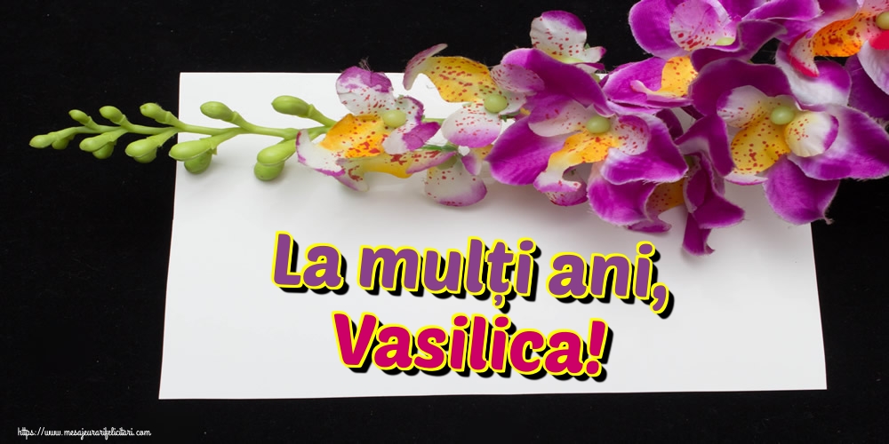 La mulți ani, Vasilica!