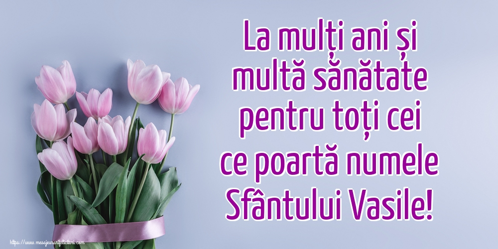 La mulți ani și multă sănătate pentru toți cei ce poartă numele Sfântului Vasile!