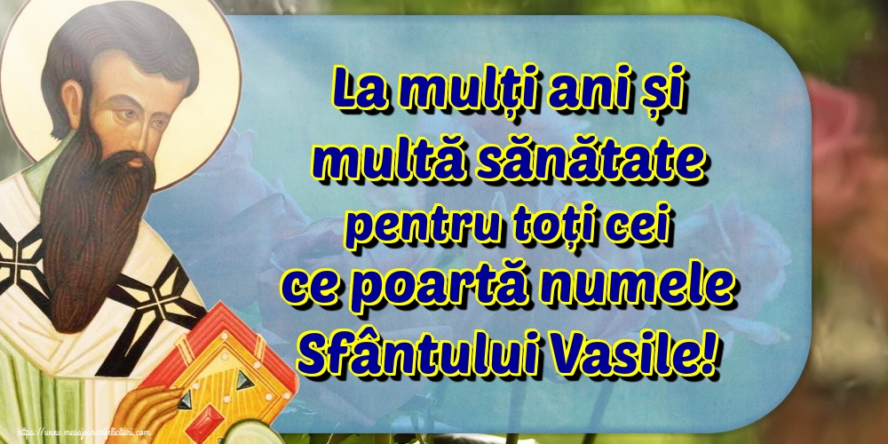 Felicitari de Sfantul Vasile - La mulți ani și multă sănătate pentru toți cei ce poartă numele Sfântului Vasile! - mesajeurarifelicitari.com