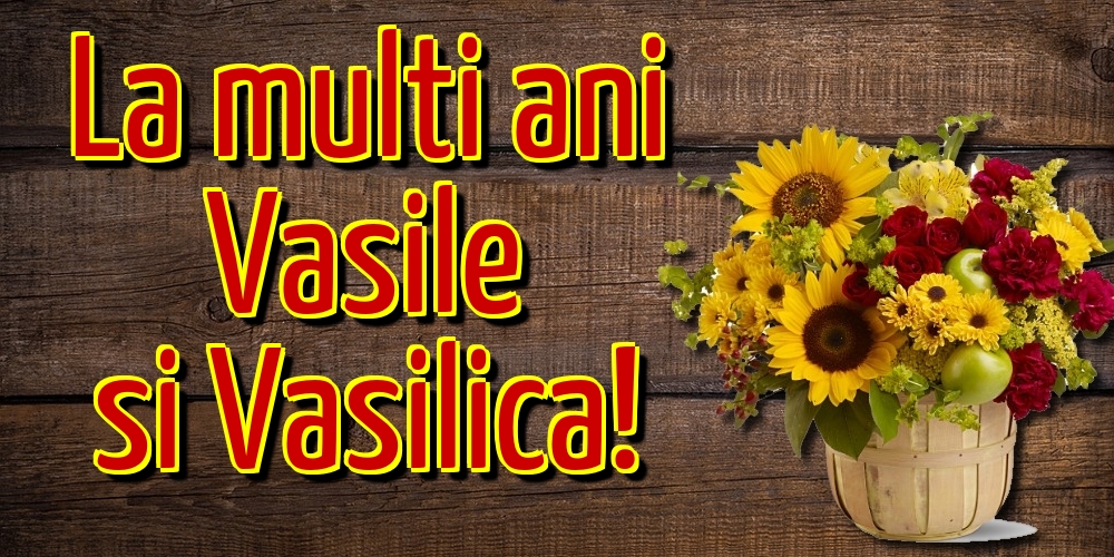 La multi ani Vasile si Vasilica!
