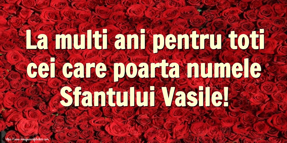 Felicitari de Sfantul Vasile - La multi ani pentru toti cei care poarta numele Sfantului Vasile! - mesajeurarifelicitari.com
