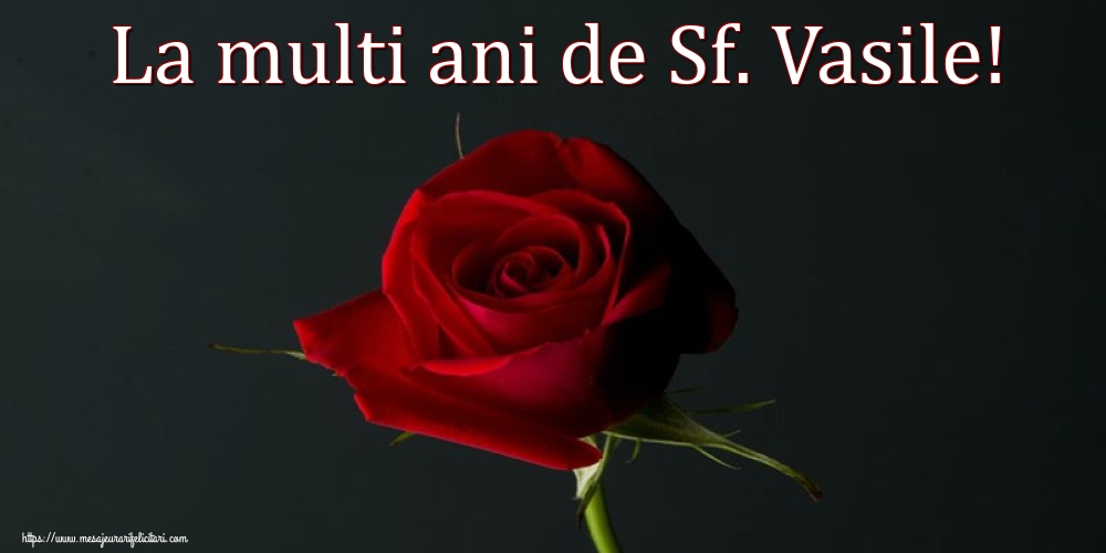 Sfantul Vasile La multi ani de Sf. Vasile!