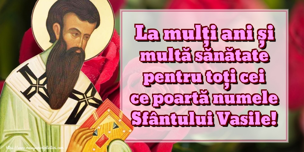 La mulți ani și multă sănătate pentru toți cei ce poartă numele Sfântului Vasile!