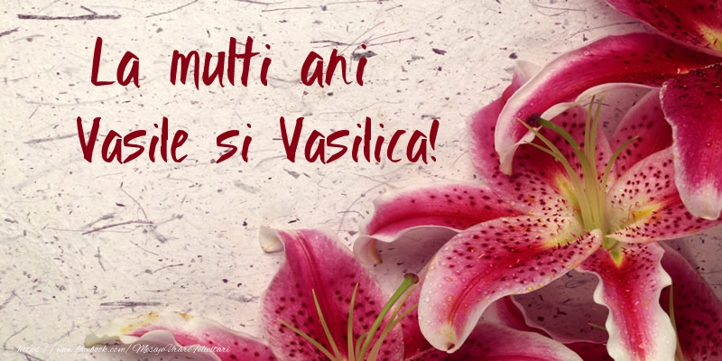 La multi ani Vasile si Vasilica!