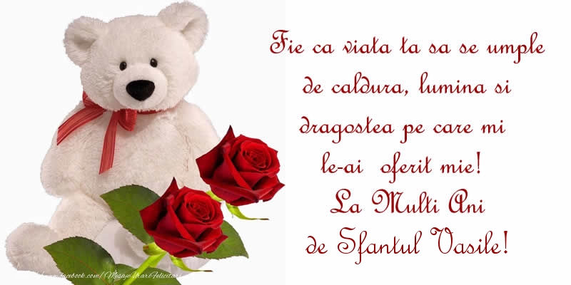 Fie ca viata ta sa se umple de caldura, lumina si dragostea pe care mi le-ai  oferit mie!  La Multi Ani de Sfantul Vasile!