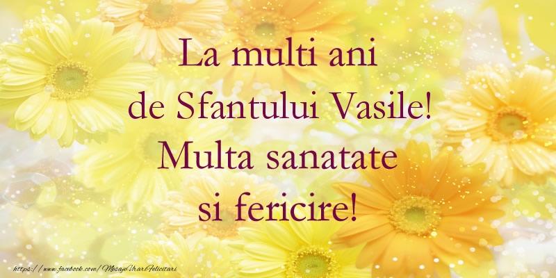 La multi ani de Sfantului Vasile! Multa sanatate si fericire!