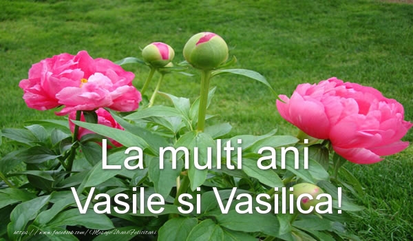 La multi ani Vasile si Vasilica!