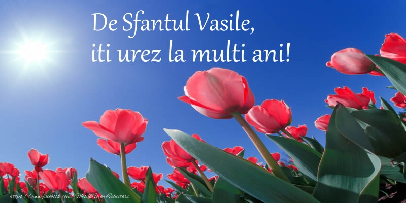 Felicitari de Sfantul Vasile - De Sfantul Vasile, iti urez La multi ani! - mesajeurarifelicitari.com