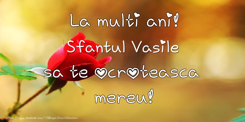 La multi ani! Sfantul Vasile sa te ocroteasca mereu!