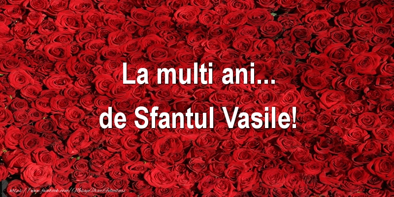 La multi ani... de Sfantul Vasile!