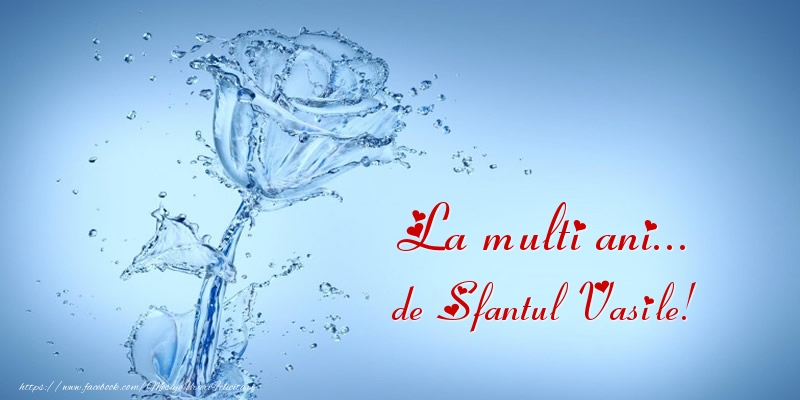 La multi ani... de Sfantul Vasile!