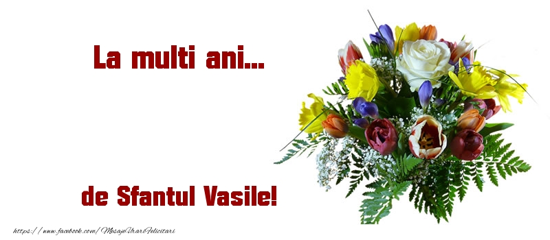 Felicitari de Sfantul Vasile - La multi ani... de Sfantul Vasile! - mesajeurarifelicitari.com