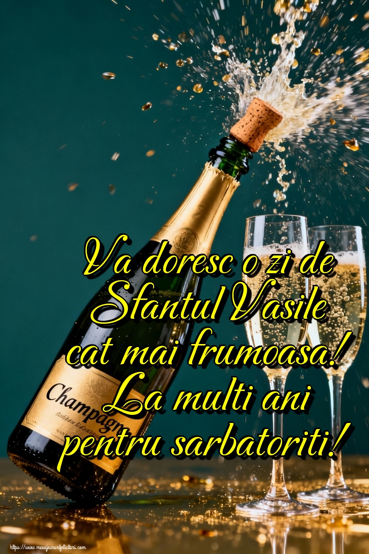 Va doresc o zi de Sfantul Vasile cat mai frumoasa! La multi ani pentru sarbatoriti!