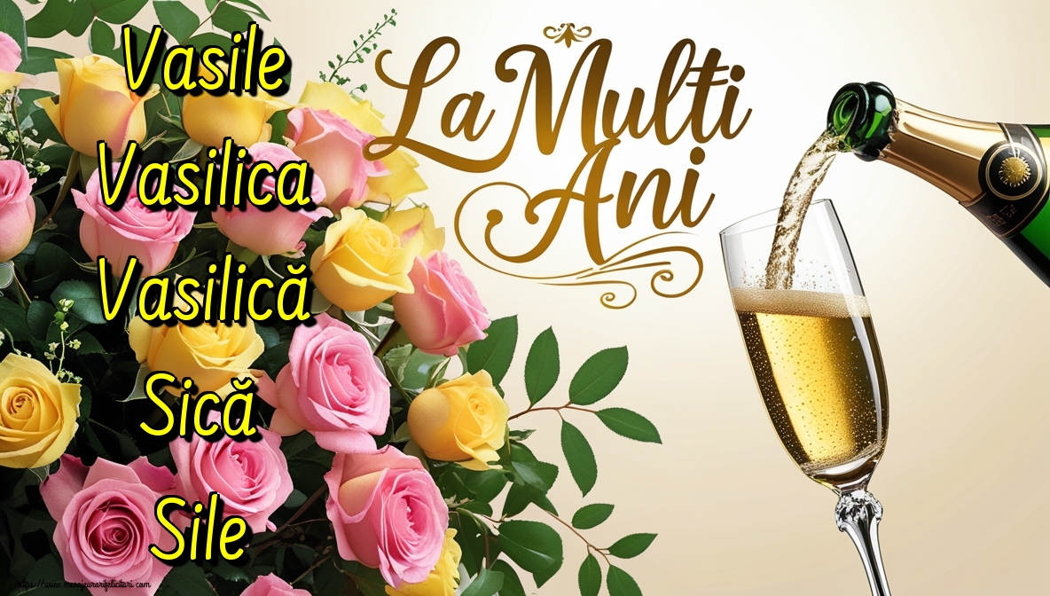 Vasile Vasilica Vasilică Sică Sile