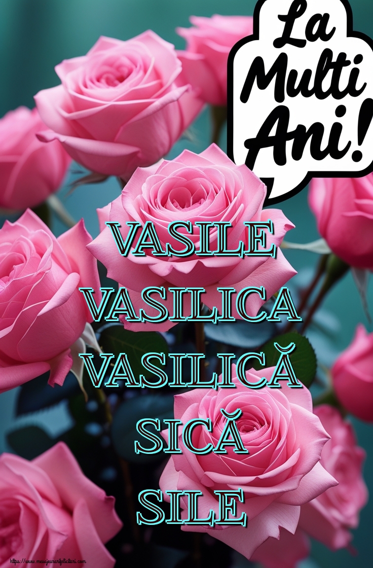 Vasile Vasilica Vasilică Sică Sile