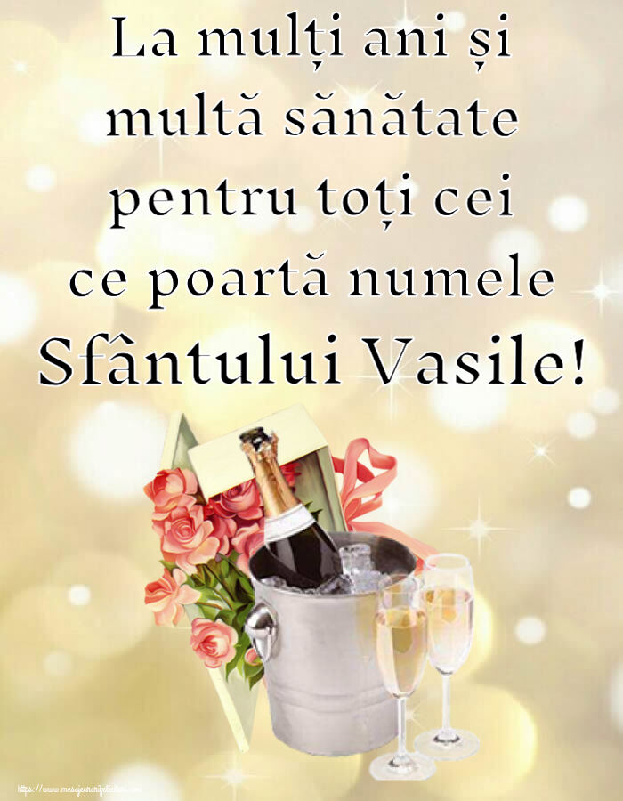 La mulți ani și multă sănătate pentru toți cei ce poartă numele Sfântului Vasile!