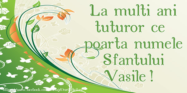 La multi ani tuturor celor ce poarte numele Sfantului Vasile!