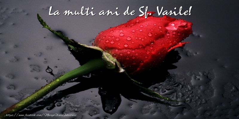 La multi ani de Sf. Vasile!