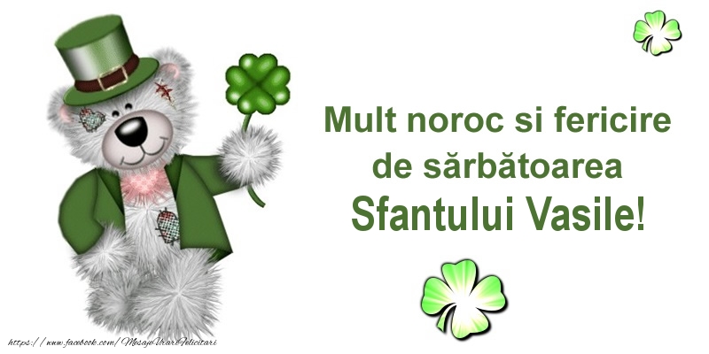 Mult noroc si fericire de sarbatoarea Sfantului Vasile!