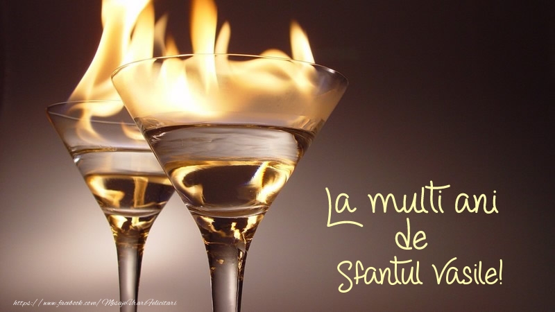 La multi ani de Sfantul Vasile!