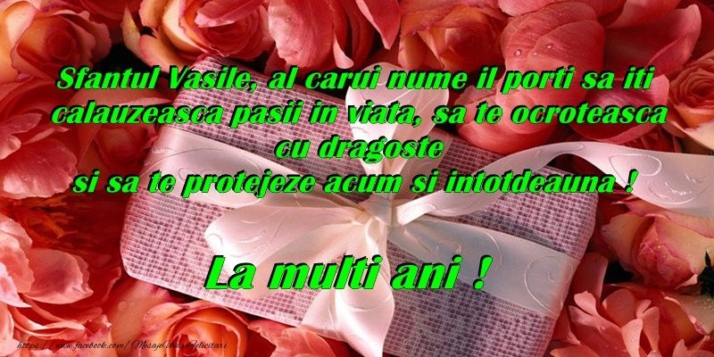 La multi ani de Sfantul Vasile!