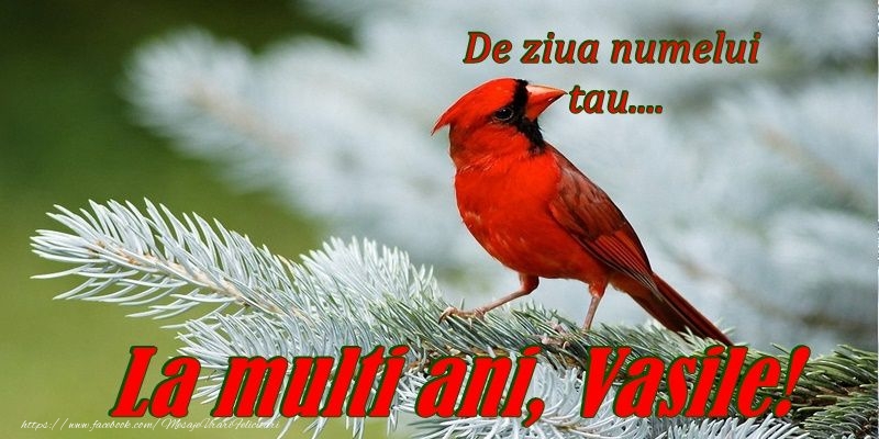 La multi ani de Sfantul Vasile!