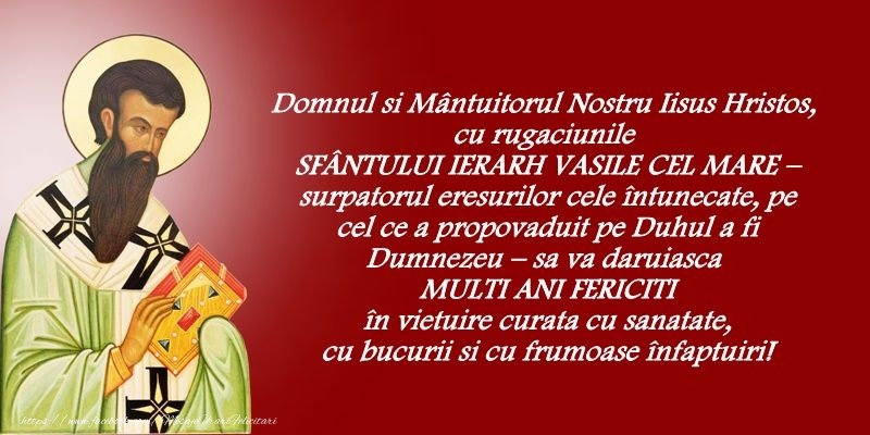 La multi ani de Sfantul Vasile!
