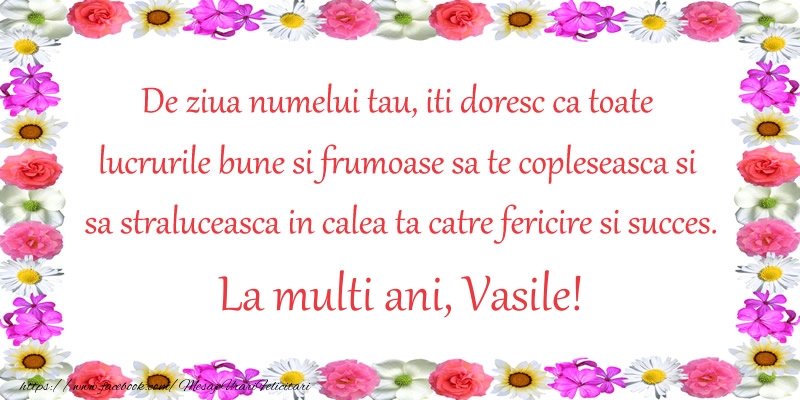 De ziua numelui tau, iti doresc ca toate lucrurile bune si frumoase sa te copleseasca si sa straluceasca in calea ta catre fericire si succes. La Multi Ani Vasile!