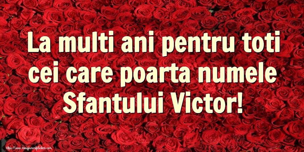 Sfantul Victor La multi ani pentru toti cei care poarta numele Sfantului Victor!