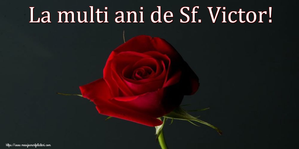 Felicitari de Sfantul Victor - La multi ani de Sf. Victor! - mesajeurarifelicitari.com