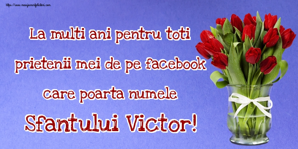 La multi ani pentru toti prietenii mei de pe facebook care poarta numele Sfantului Victor!