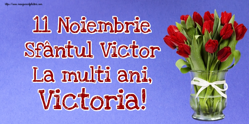 11 Noiembrie Sfântul Victor La multi ani, Victoria!