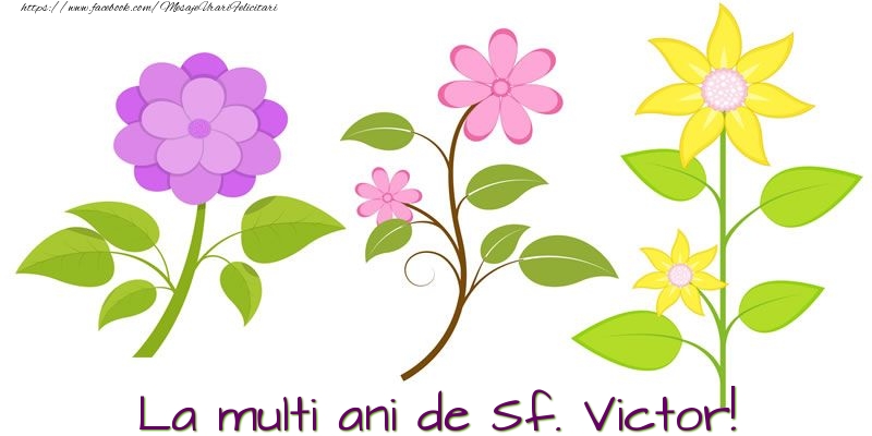 La multi ani de Sf. Victor!
