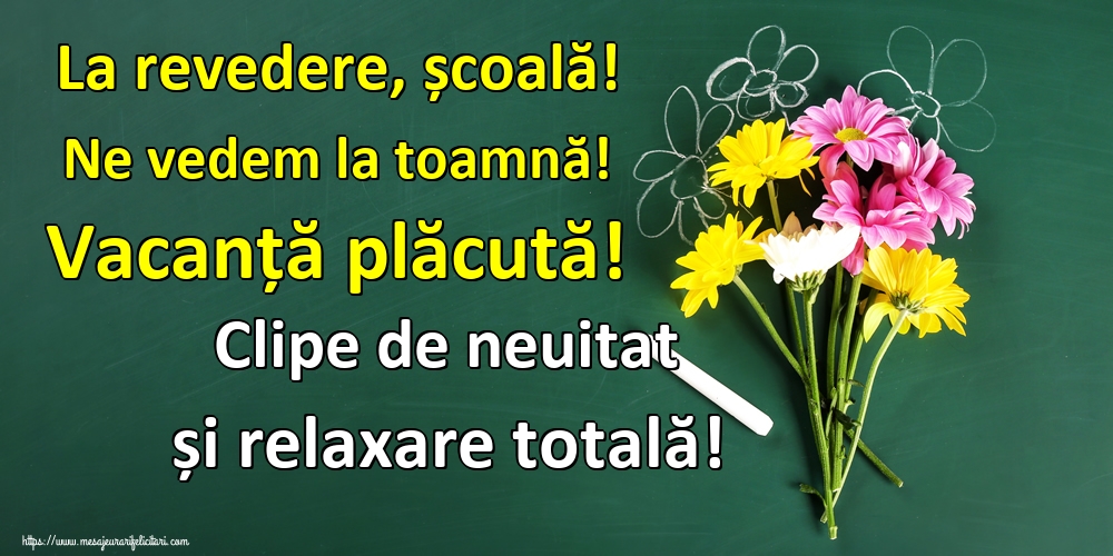 La revedere, școală! Ne vedem la toamnă! Vacanță plăcută! Clipe de neuitat și relaxare totală!
