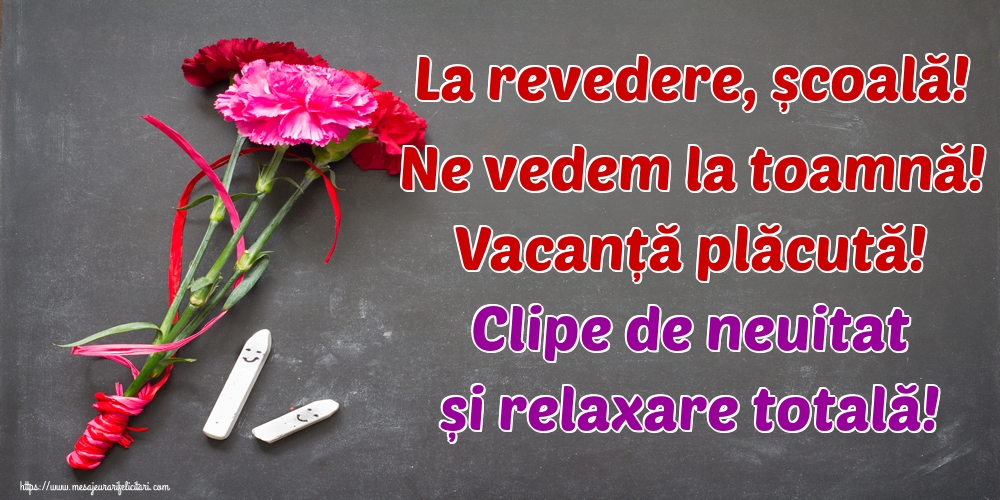 La revedere, școală! Ne vedem la toamnă! Vacanță plăcută! Clipe de neuitat și relaxare totală!