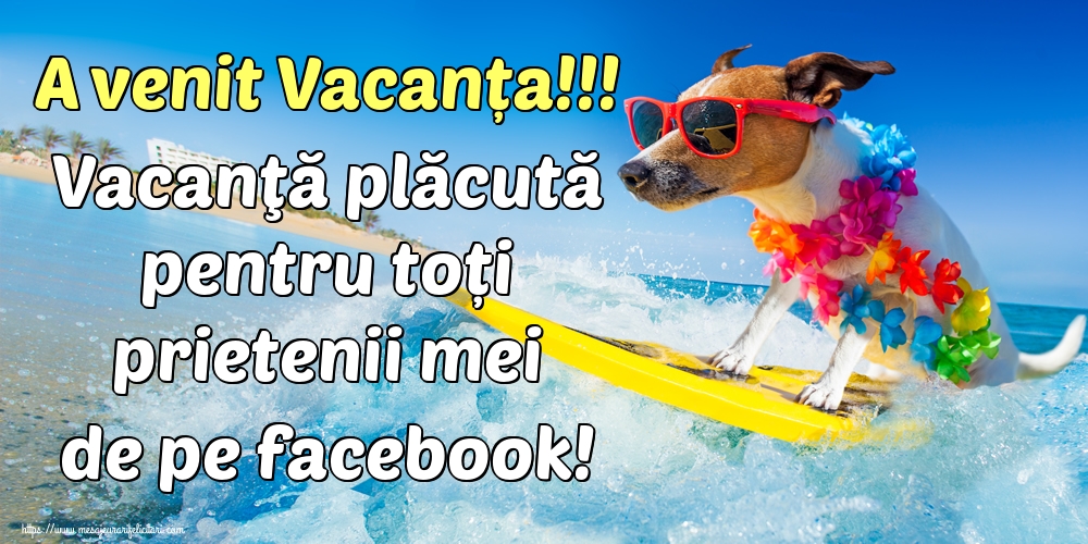 A venit Vacanța!!! Vacanţă plăcută pentru toți prietenii mei de pe facebook!