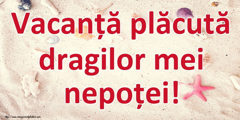 Vacanță plăcută dragilor mei nepoței!
